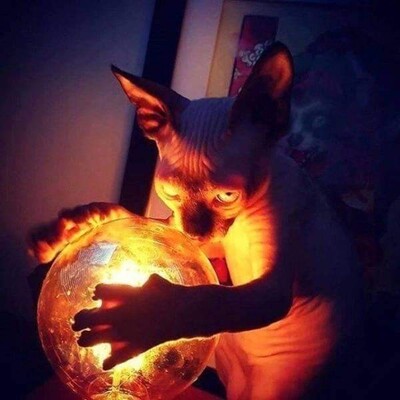 RustyBertrand@mastodon.social