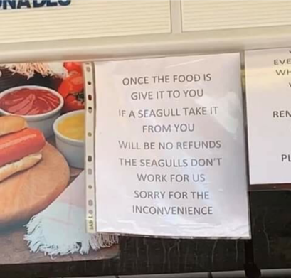 sign on a hot dog stand reading
"once the food is give it to you
if a seagull take it from you
will be no refunds
the seagulls don't work for us
sorry for the inconvenience"