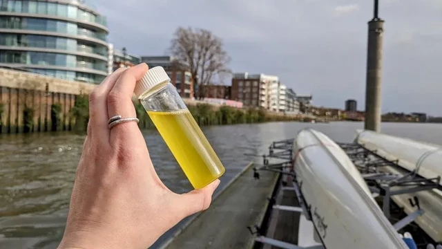 Image of hand holding a sample bottle of yellow coloured liquid.