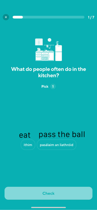 
What do people often do in the kitchen?
Pick 1
ithim (eat)
pasálaim an liathróid (pass the ball)

