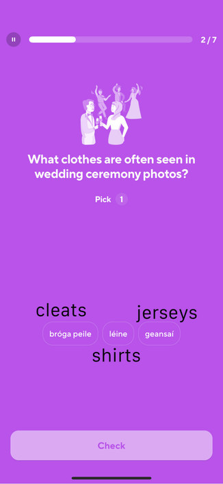 
What clothes are often seen in wedding ceremony photos?
Pick 1
bróga peile (cleats)
geansai (jerseys)
léine (shirts)

