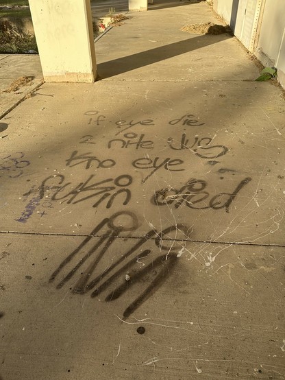if eye die 2 nite jus kno eye fukin died livin
spray painted on the ground outside the abandoned middle school