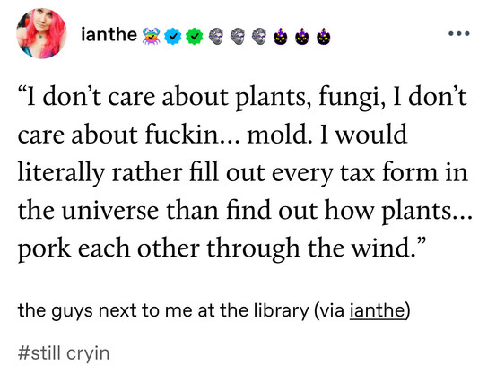
"I don't care about plants, fungi, I don't
care about fuckin... mold. I would
literally rather fill out every tax form in
the universe than find out how plants...
pork each other through the wind."

- the guys next to me at the library (via ianthe)
#still cryin