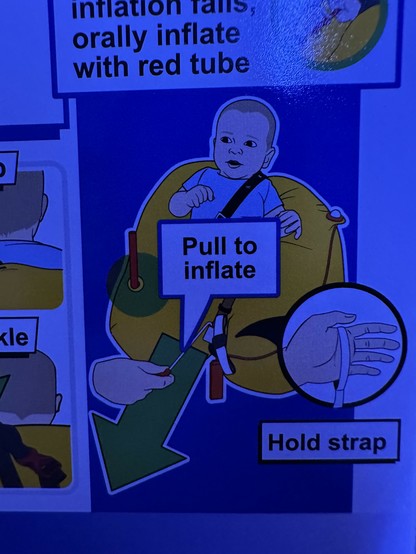 safety card baby looks slightly suspicious