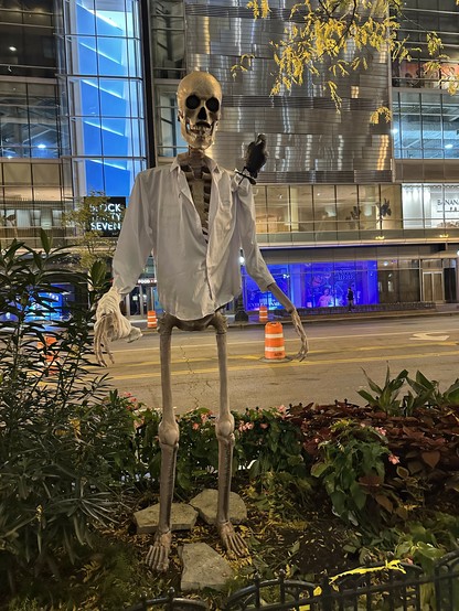 skeleton in a button down with a crow on its shoulder 