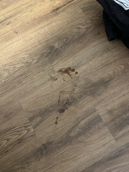 a footprint on my floor that's definitely made by dried hot sauce 