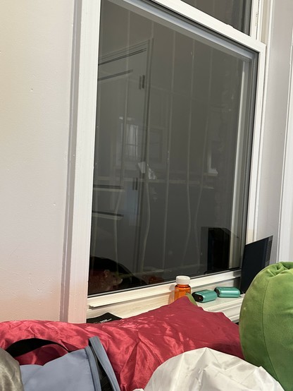 window to my porch from my room where there is a RAT LOOKING IN 