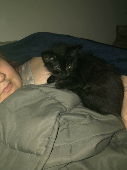 my black cat when she was real tiny curled up on me