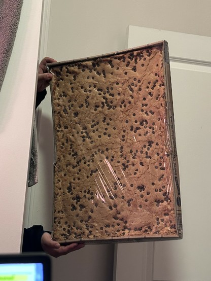 a fuck off massive rectangle chocolate chip cookie it's like. fucking 3 feet by 2 feet of cookie