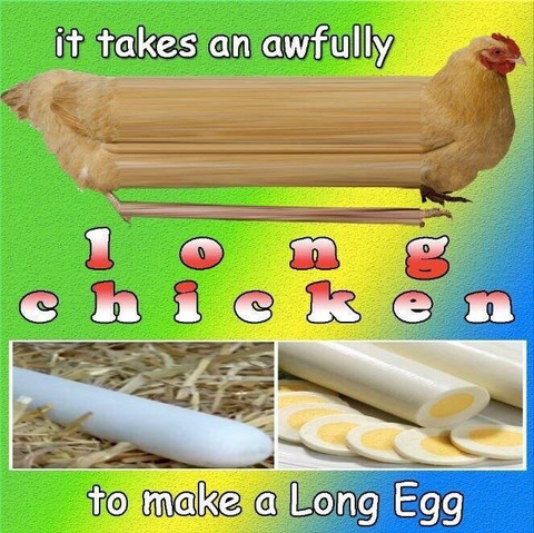 it takes an awfully long chicken
to make a Long Egg