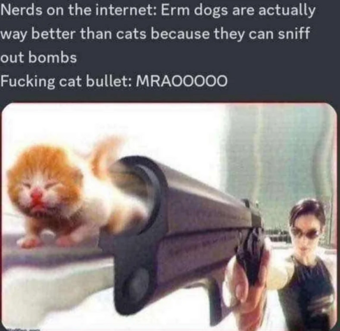 Posted media