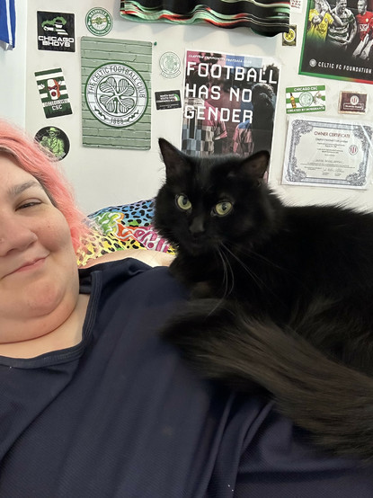 my cat sitting on my chest looking directly at the camera