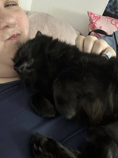 my cat snuggling up under my chin