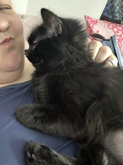 my very groggy looking cat sitting on my chest looking at me
