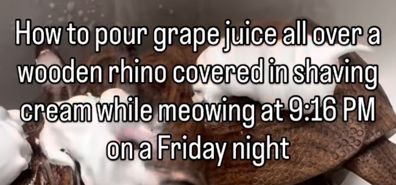 How to pour grape juice all over a
wooden rhino covered in shaving
cream while meowing at 9:16 PM
on a Friday night