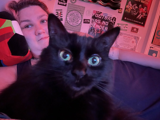 my cat looking wide eyed into the camera