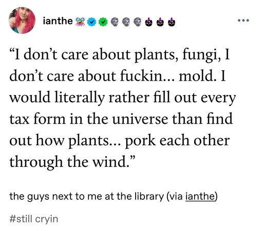 "I don't care about plants, fungi, I don't care about fuckin... mold. I would literally rather fill out every tax form in the universe than find out how plants... pork each other through the wind."
—the guys next to me at the library