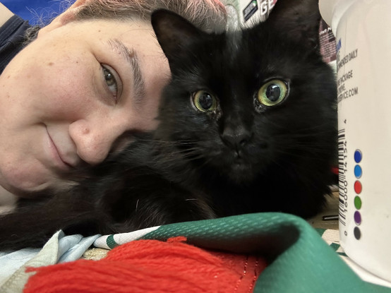 me using my cat as a pillow while she looks into the camera
