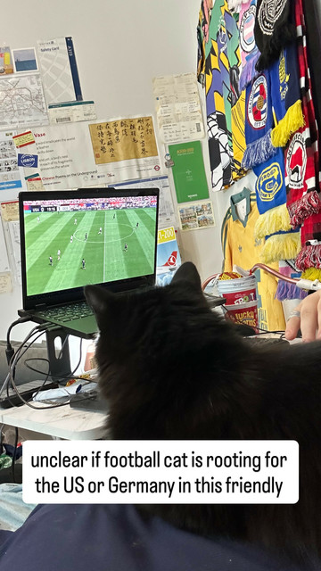 my cat has come to watch the US vs Germany friendly. unclear which team she's rooting for