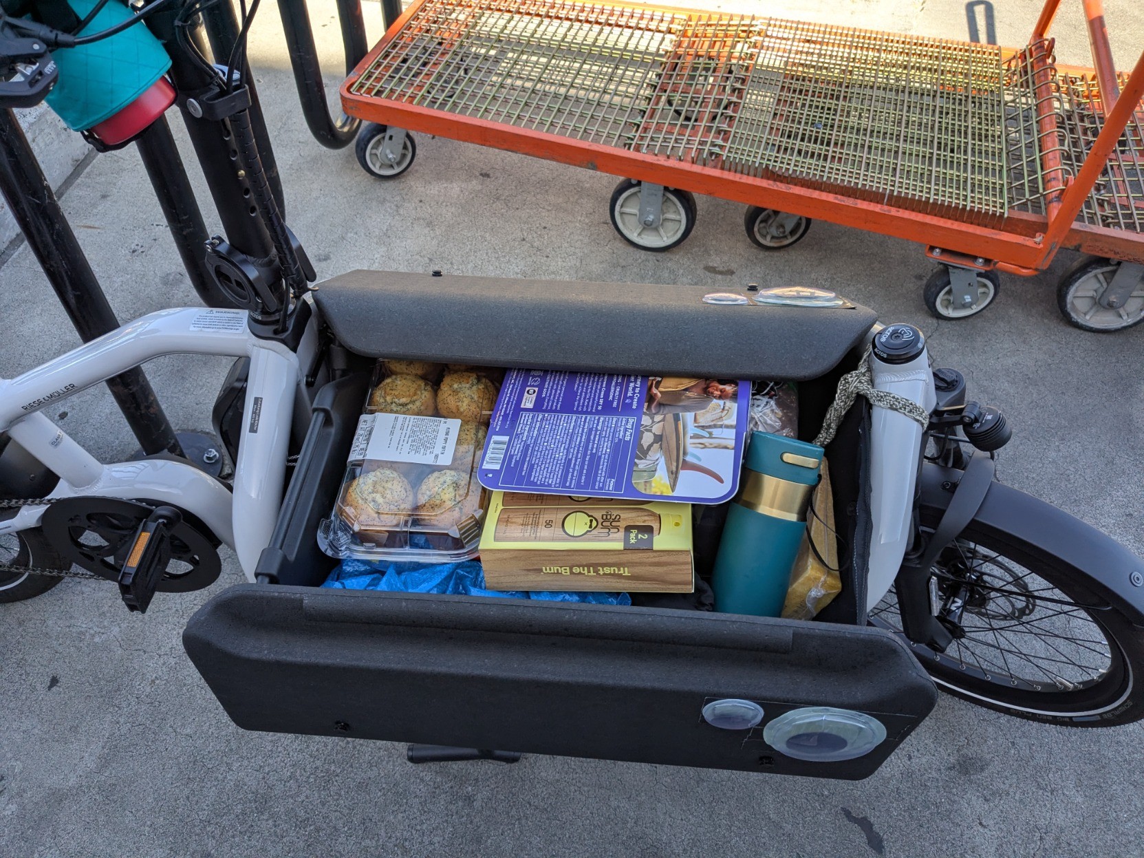 R&M Carrie bakfiets filled with a modest Costco haul:

36-pack LaCroix
6-pack oat milk
12-pack canned cold brew coffee
Double pack smoked salmon
Parmesan wedge
8-pack Goodles box mac
2 loaves multigrain bread
64-oz olive oil
4 containers sunscreen
3 shirts 
1 shorts
8-pack almond poppy muffins