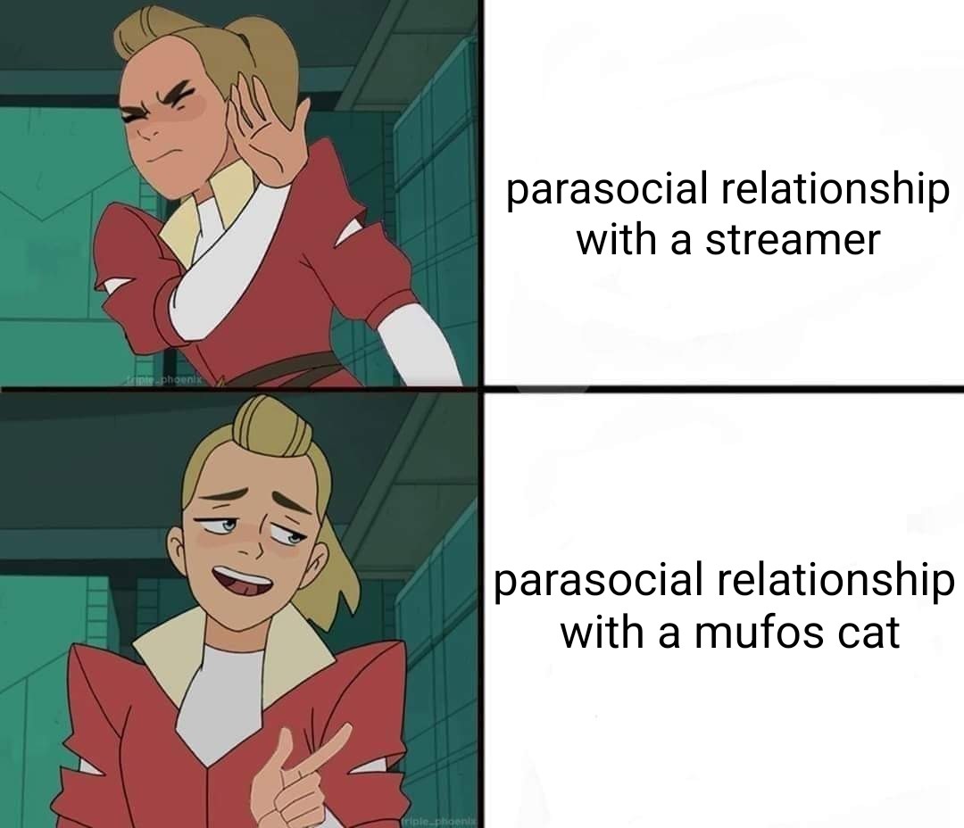 Drake meme only it's She Ra

no:
parasocial relationship with a streamer

yes:
parasocial relationship with a mufos cat
